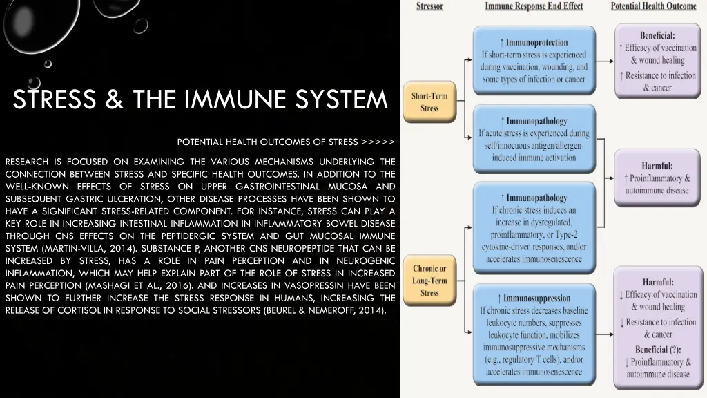 stress the immune system 5