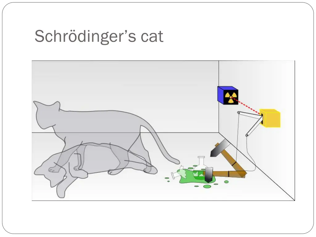 schr dinger s cat