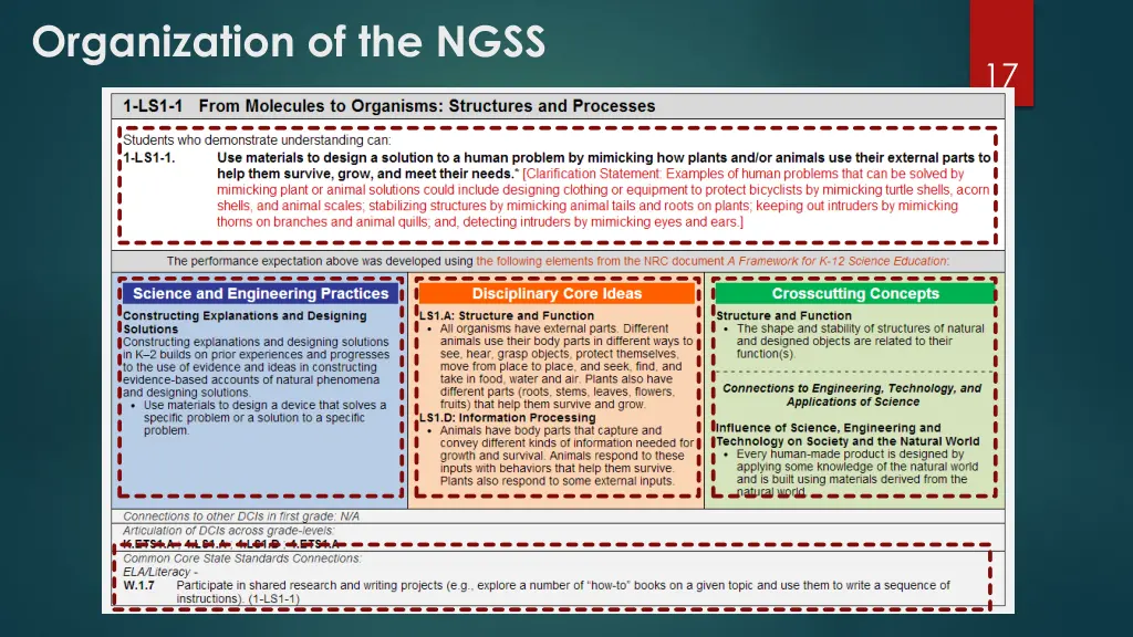 organization of the ngss