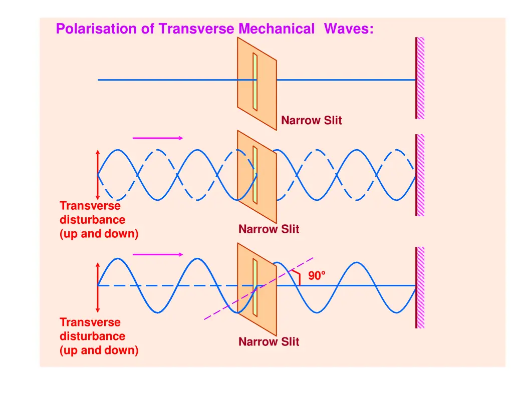 polarisation of transverse mechanical waves