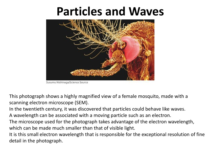 particles and waves