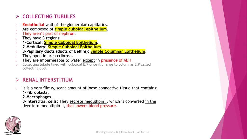 collecting tubules