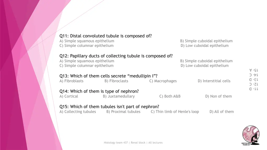 q11 distal convoluted tubule is composed