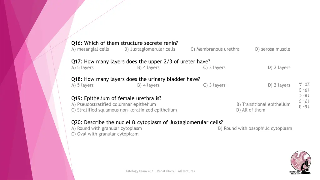 q16 which of them structure secrete renin