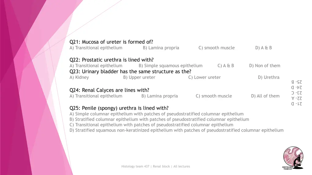 q21 mucosa of ureter is formed of a transitional