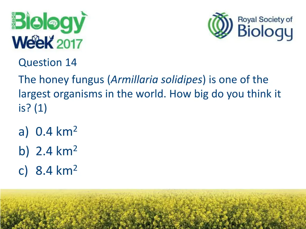 question 14 the honey fungus armillaria solidipes