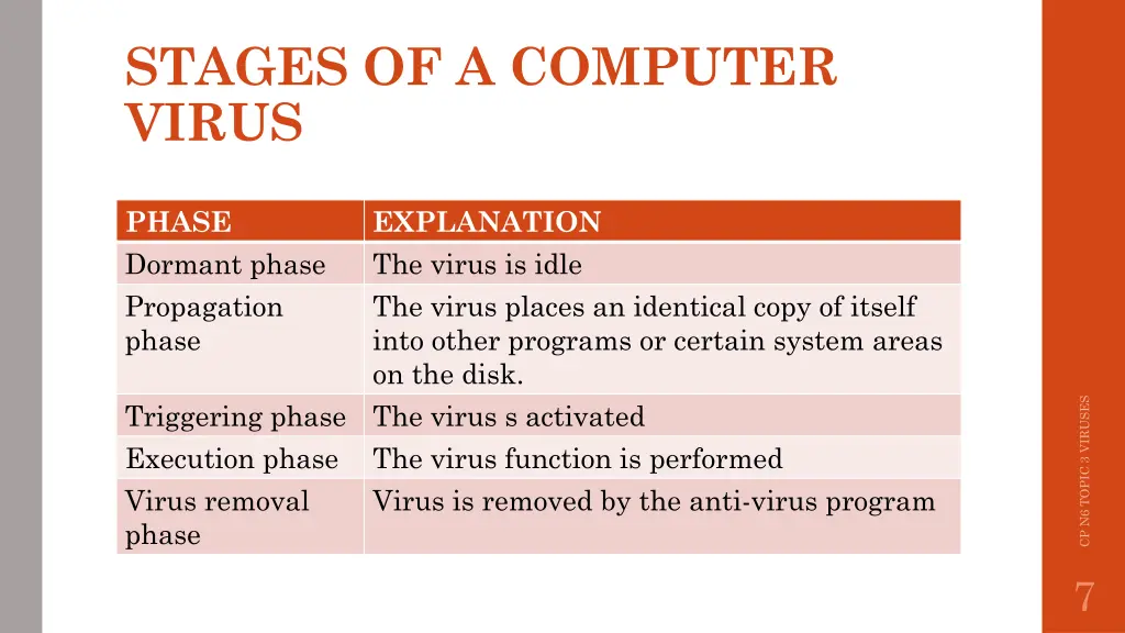 stages of a computer virus