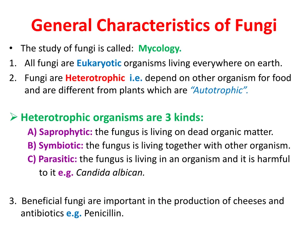 general characteristics of fungi