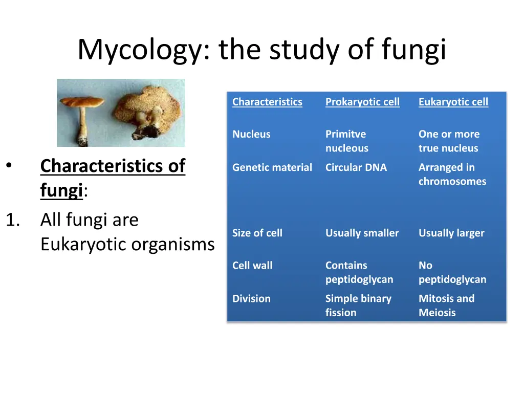 mycology the study of fungi