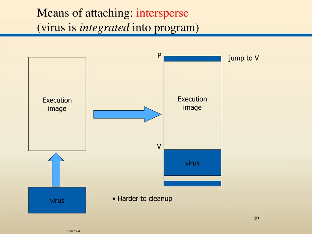 means of attaching intersperse virus