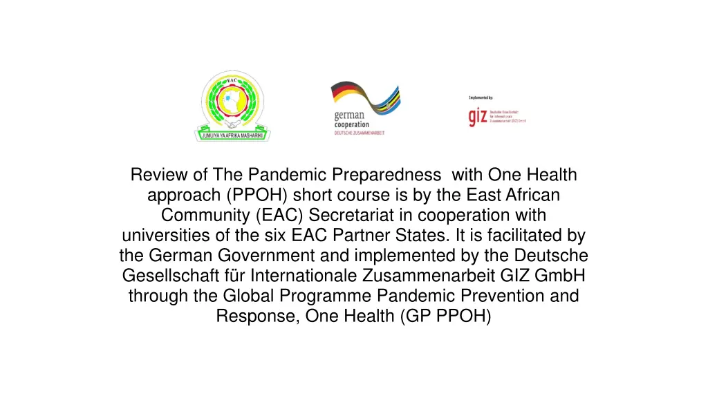 review of the pandemic preparedness with