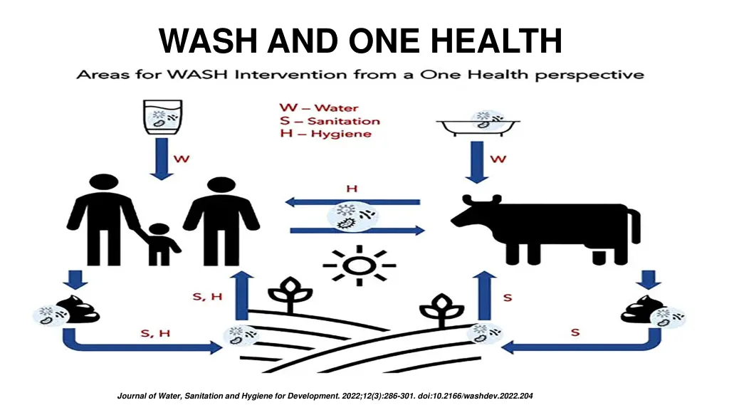 wash and one health