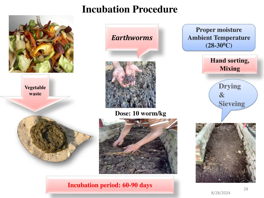 incubation procedure