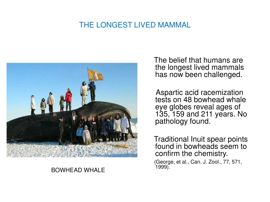 the longest lived mammal