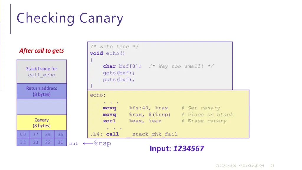 checking canary