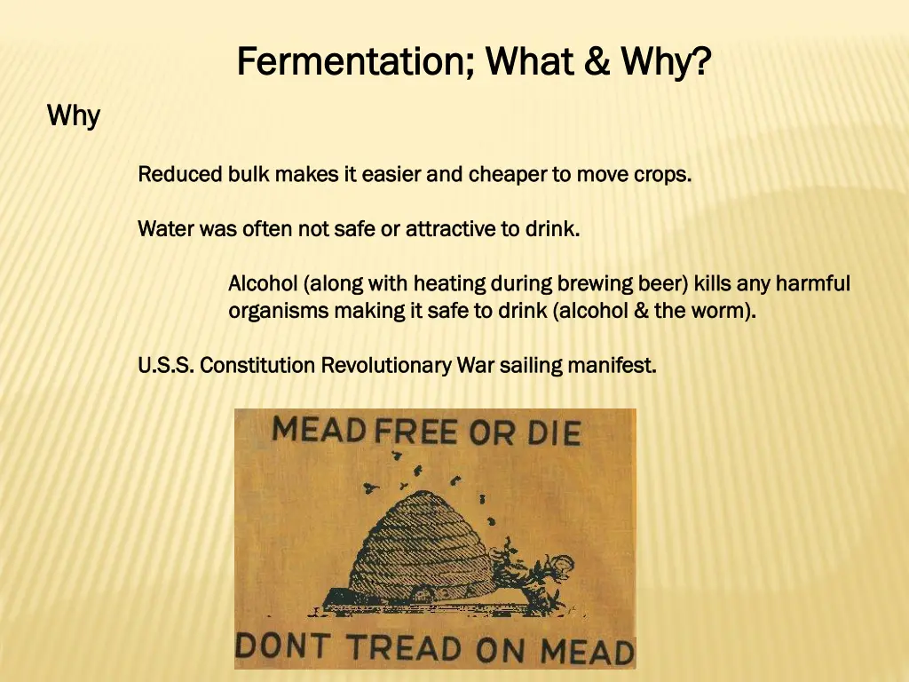 fermentation what why fermentation what why 2