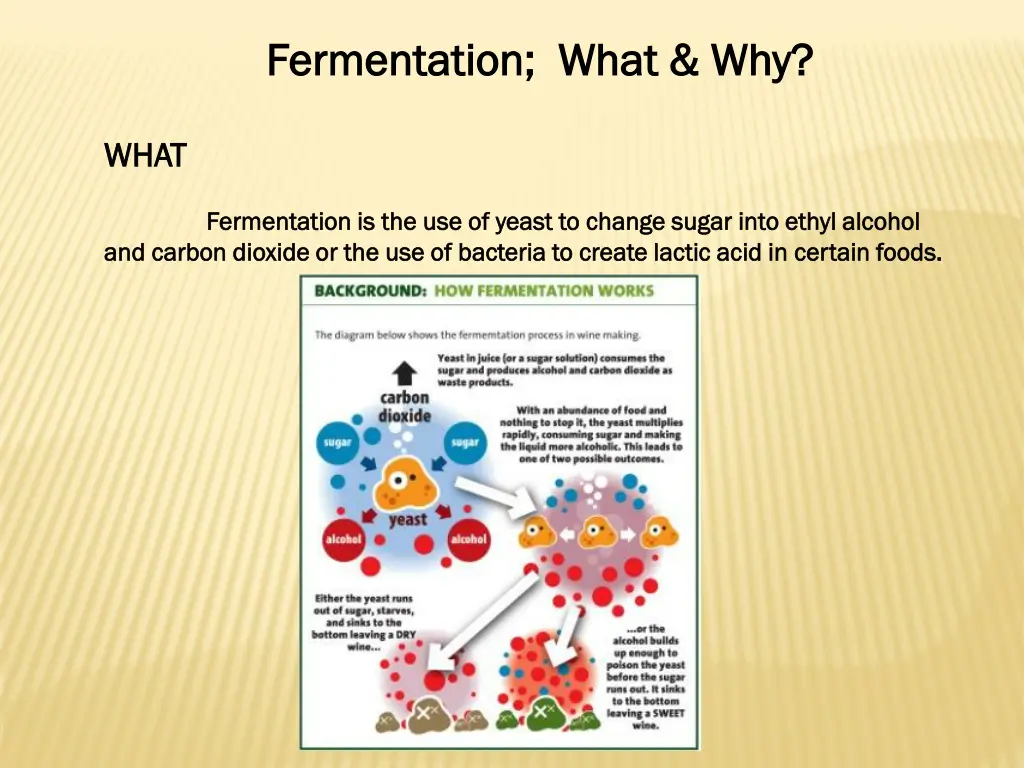 fermentation what why fermentation what why