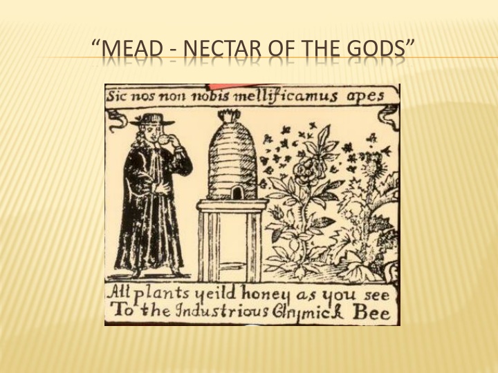 mead nectar of the gods