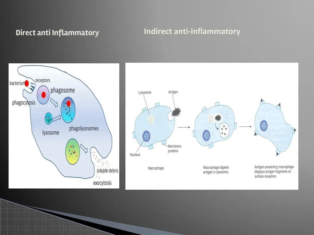 indirect anti inflammatory