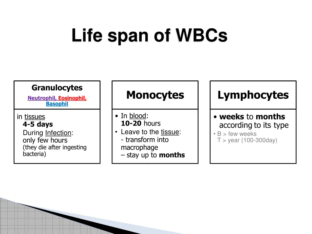 life span of wbcs