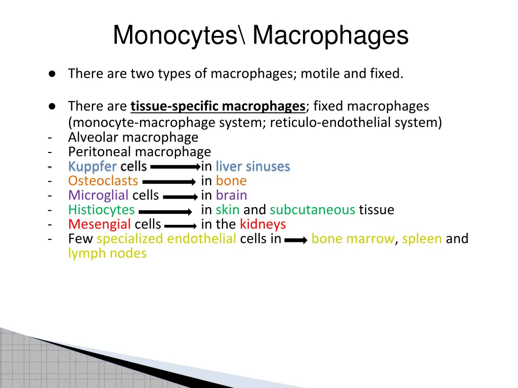 monocytes macrophages 2