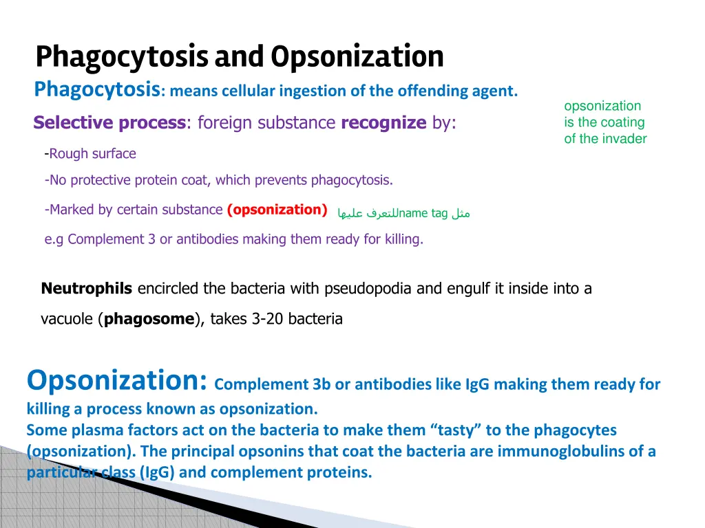 phagocytosis and opsonization phagocytosis means