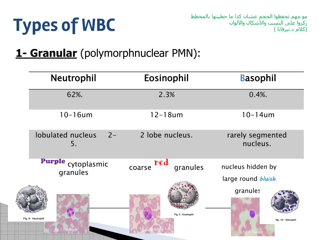 slide16