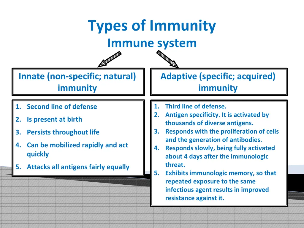 types of immunity immune system