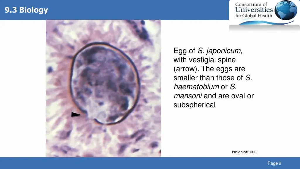 9 3 biology 2