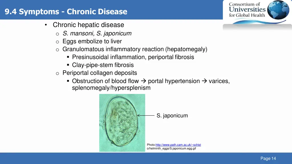 9 4 symptoms chronic disease 1