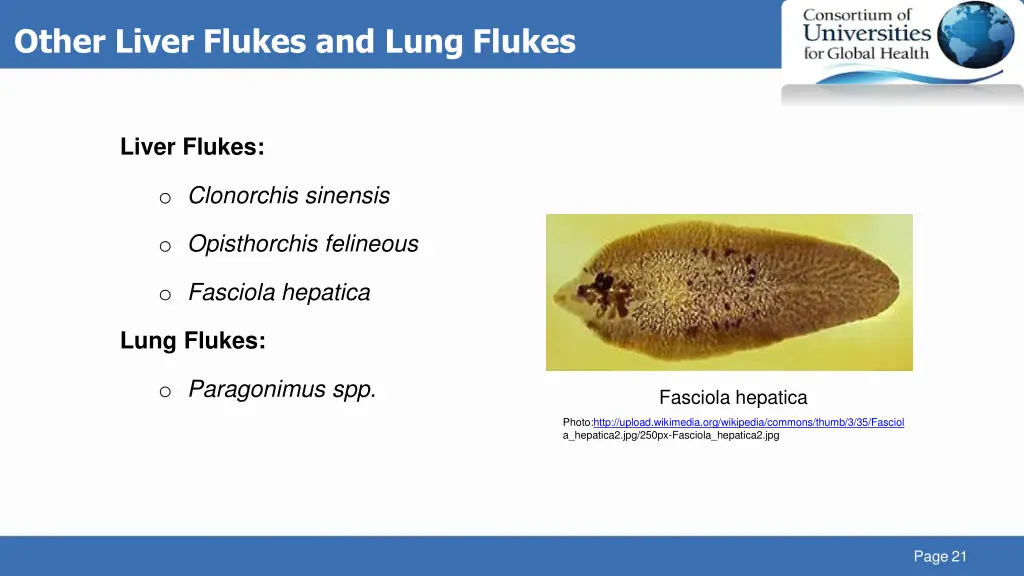 other liver flukes and lung flukes