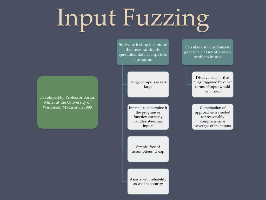 input fuzzing