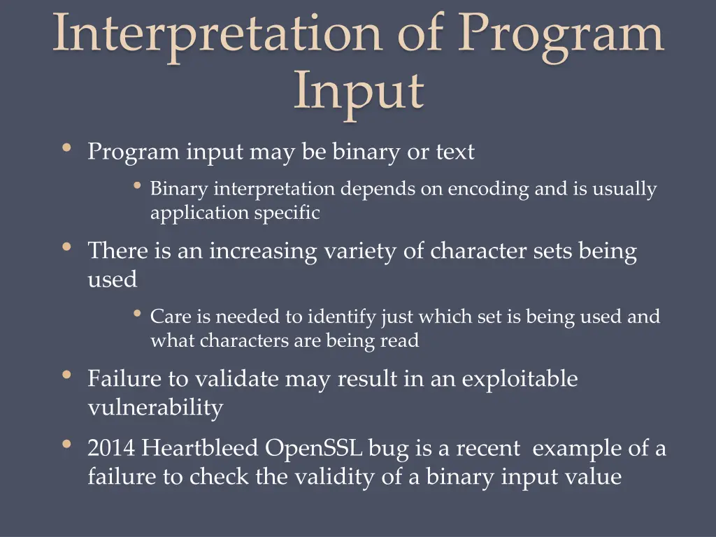 interpretation of program input program input