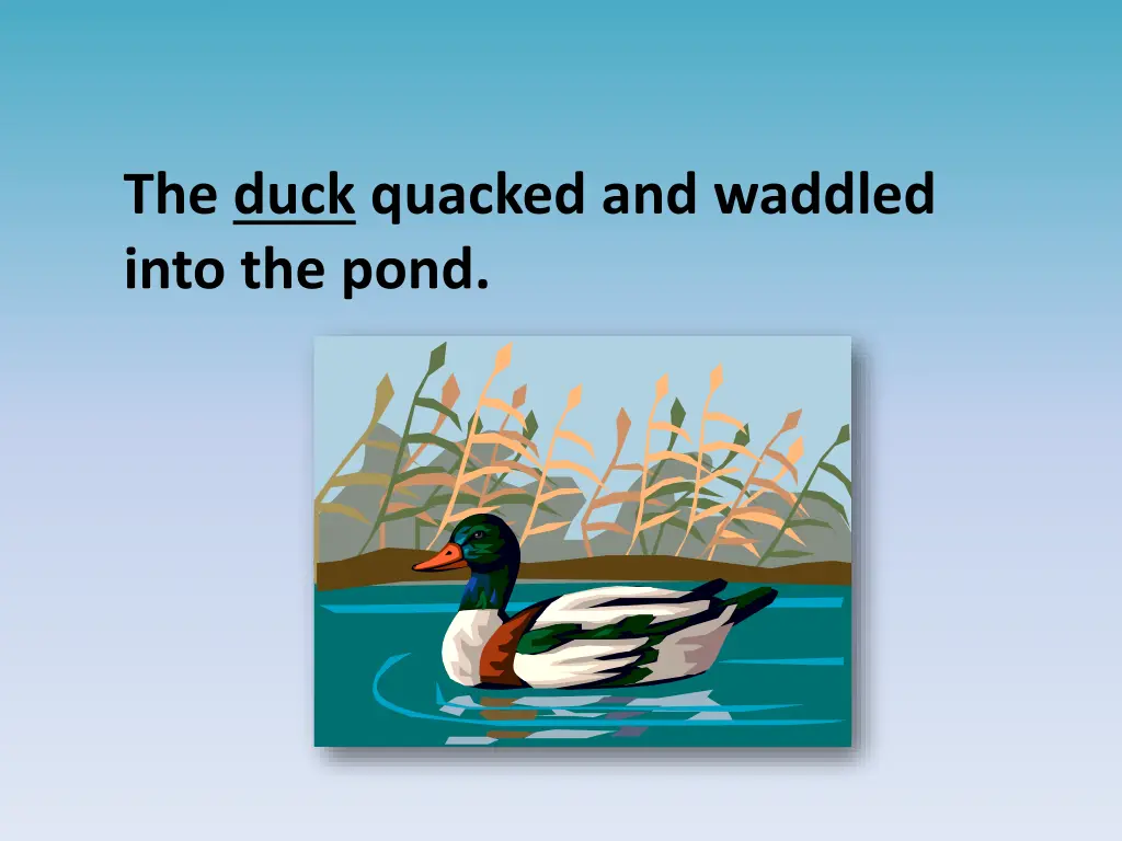 the duck quacked and waddled into the pond