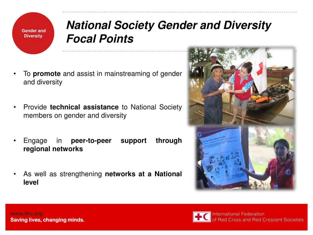 national society gender and diversity focal points