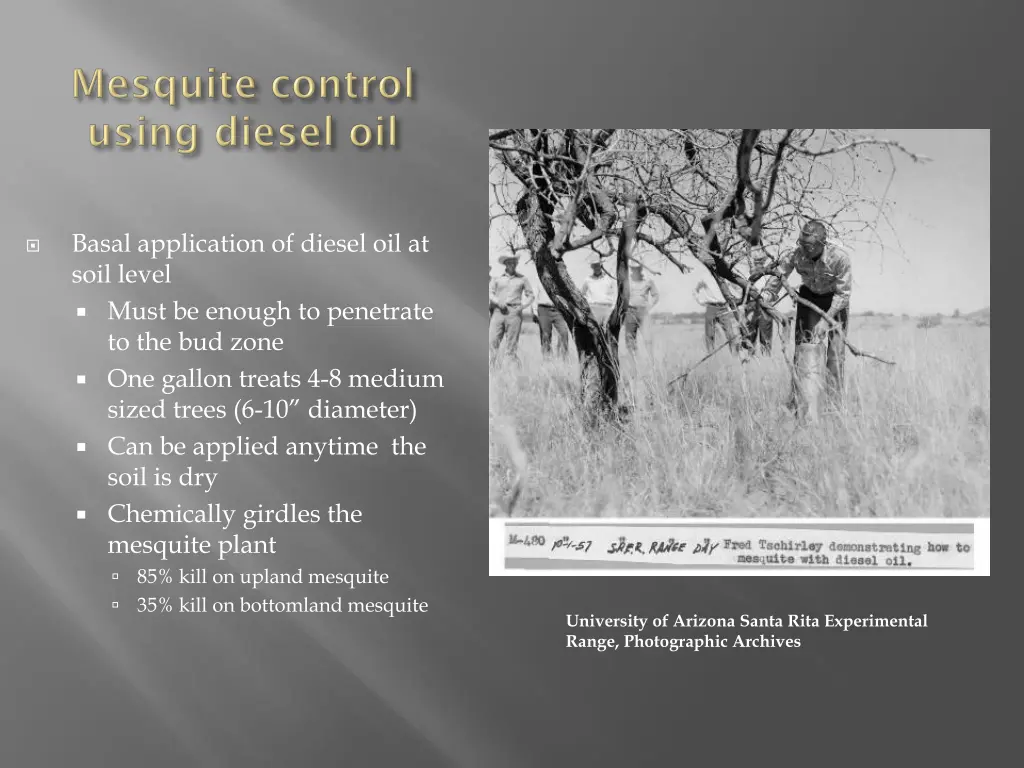 basal application of diesel oil at soil level