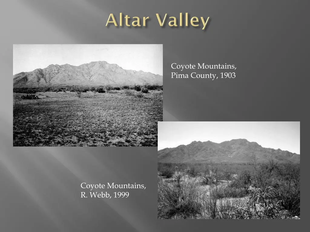 coyote mountains pima county 1903