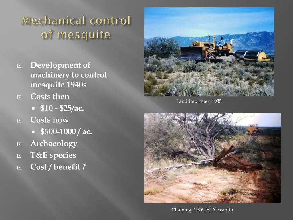 development of machinery to control mesquite