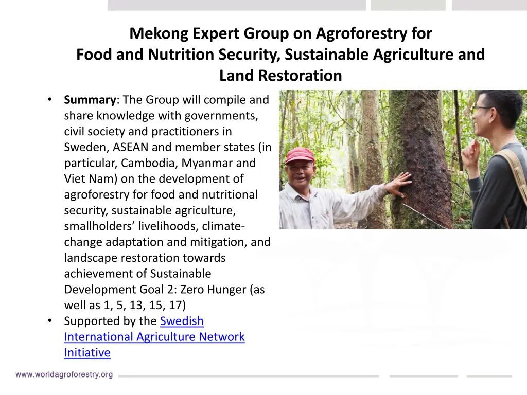 mekong expert group on agroforestry for food