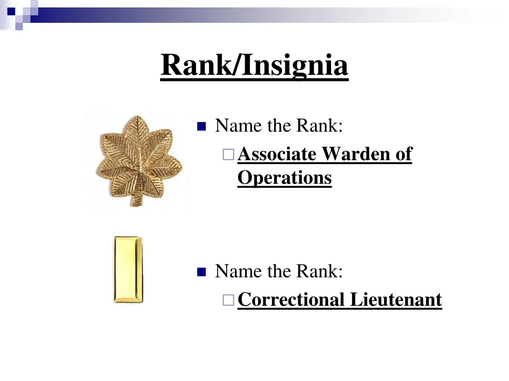 rank insignia