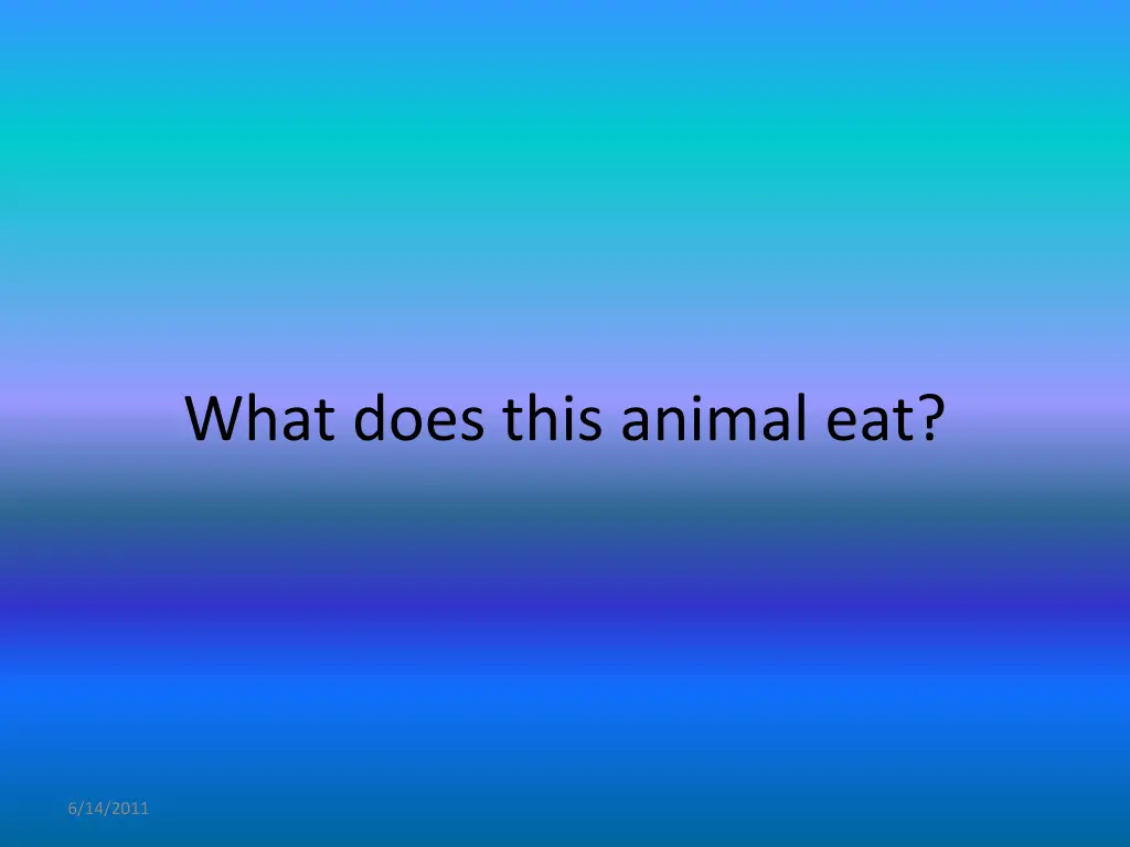 what does this animal eat