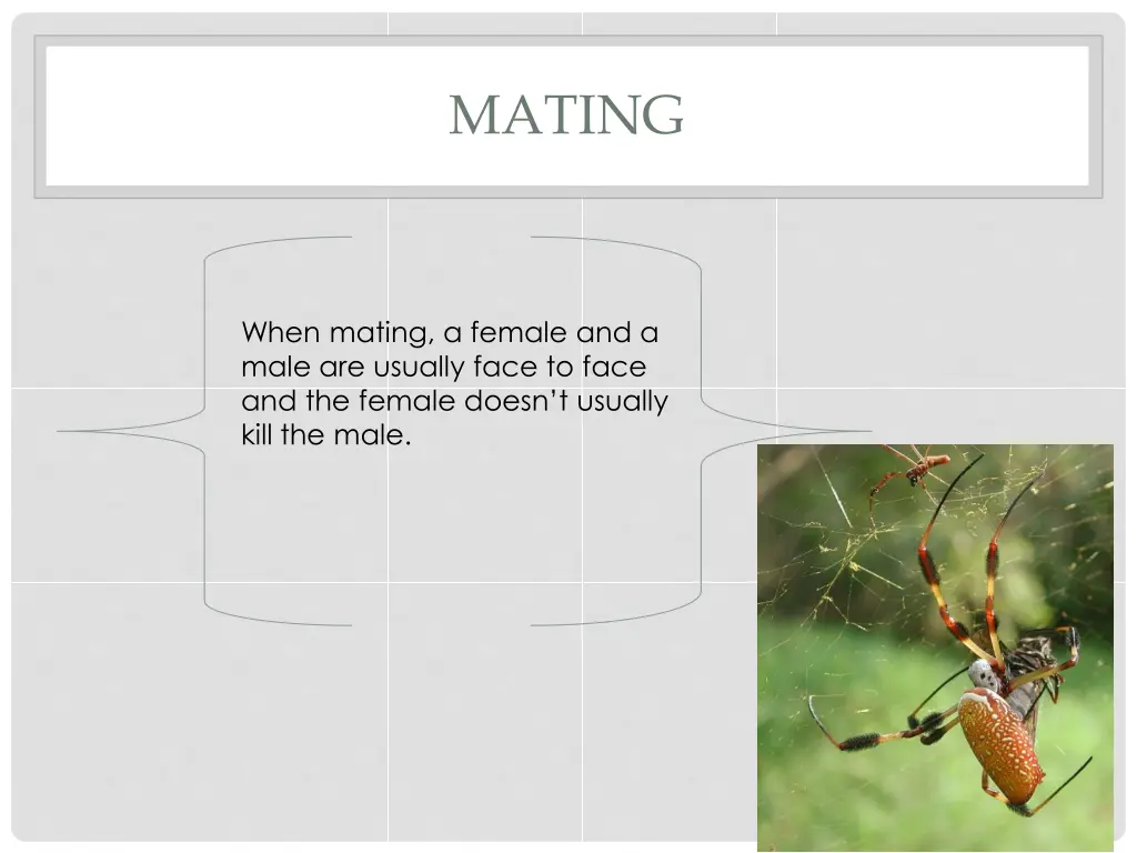 mating