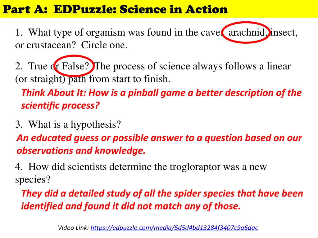 part a edpuzzle science in action