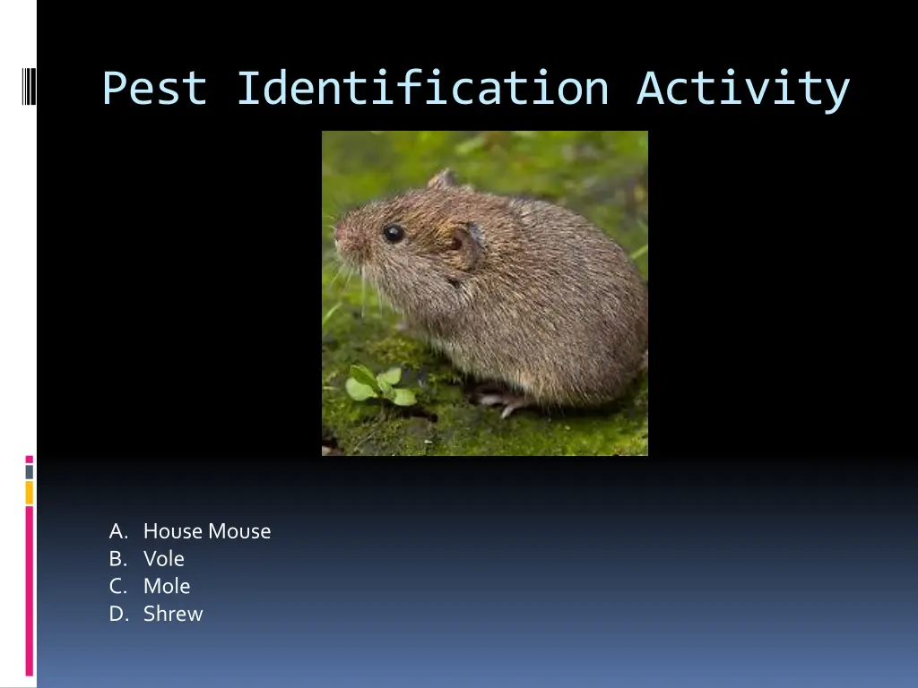 pest identification activity 11