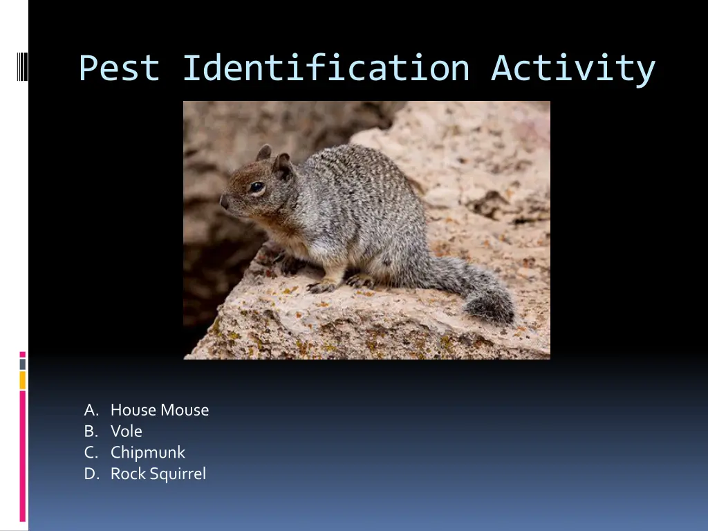 pest identification activity 12