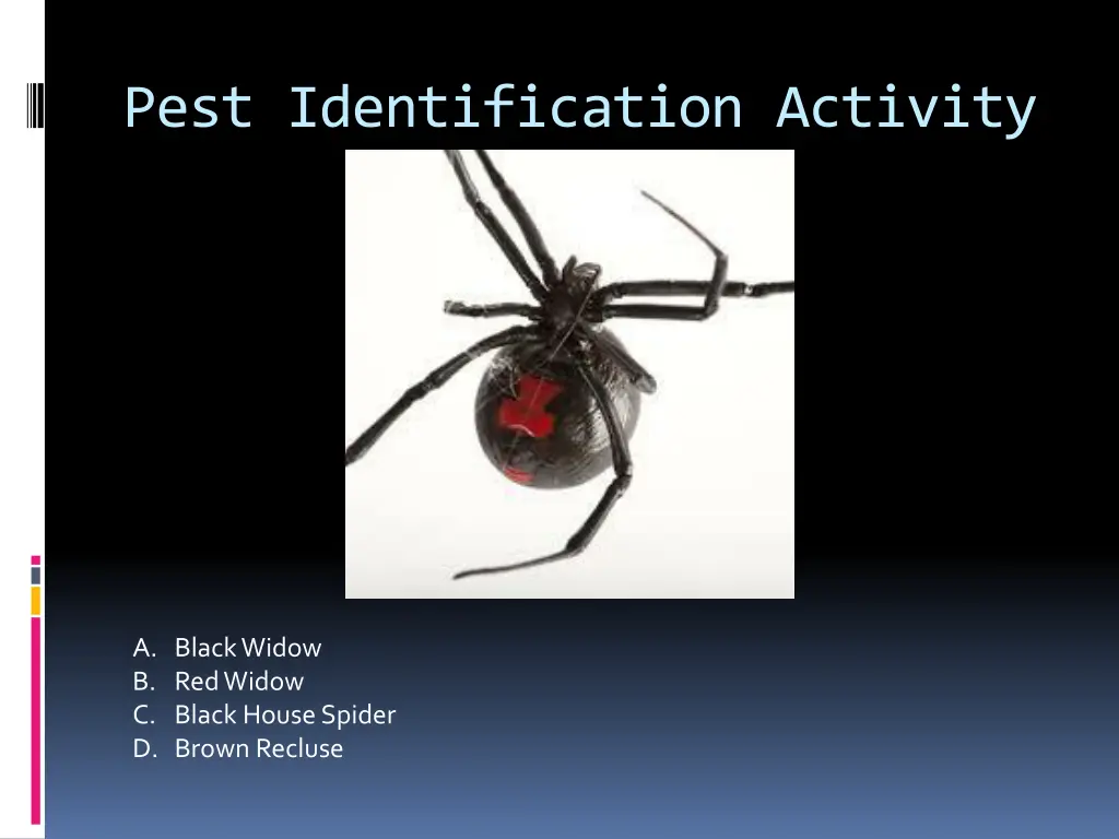 pest identification activity 14