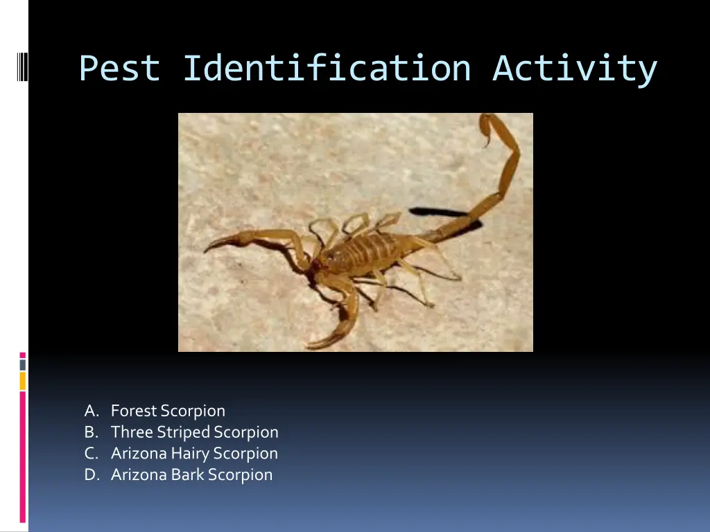 pest identification activity 16