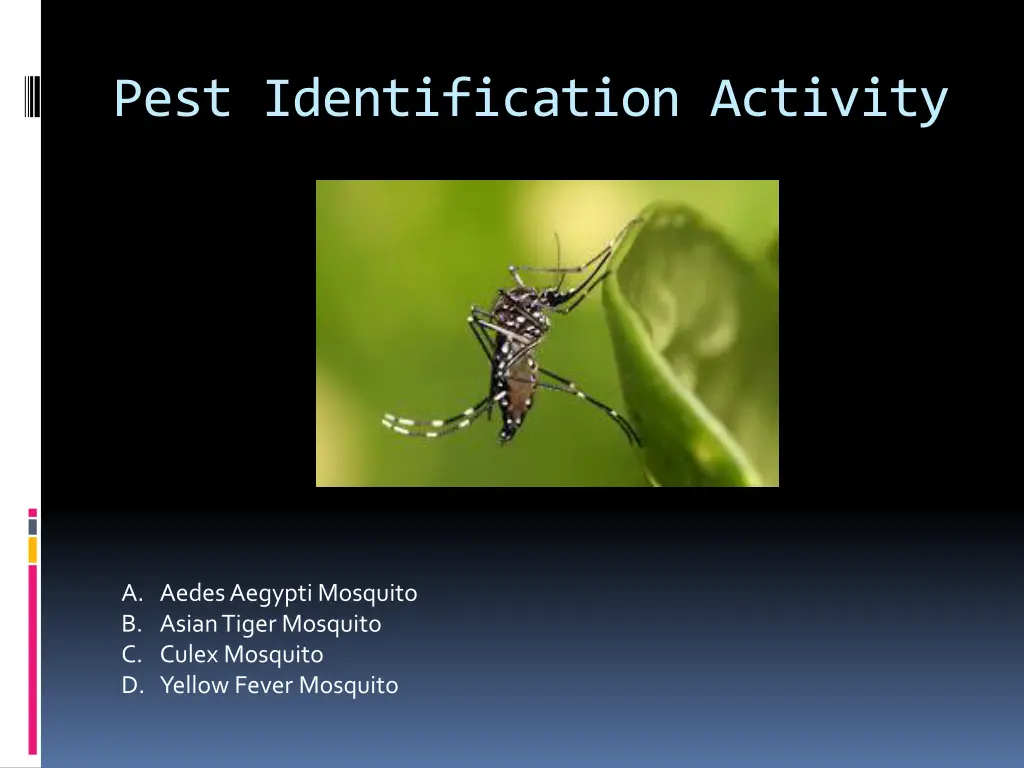 pest identification activity 2