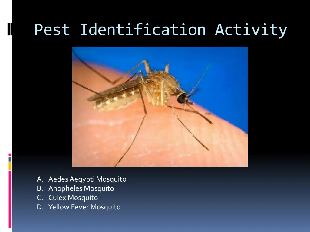 pest identification activity 3