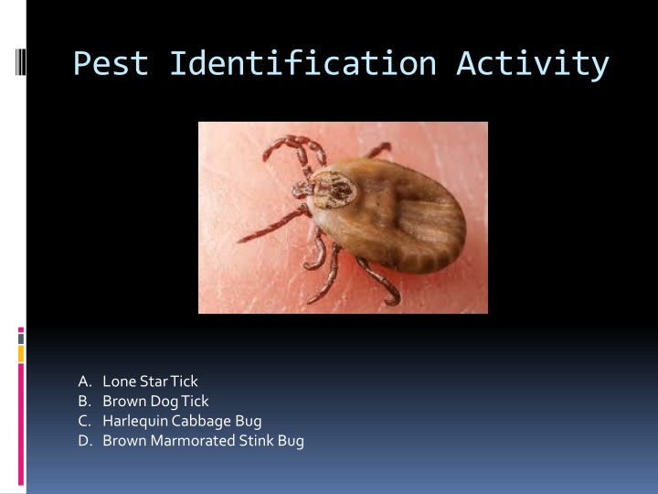 pest identification activity